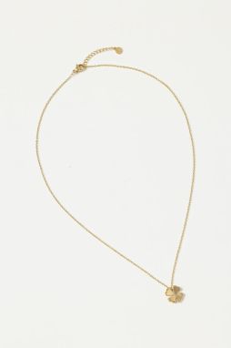 Pozlátený náhrdelník EDBLAD Lucky 123768