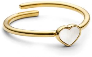 Strieborný pozlátený prsteň Design Letters 90606003PEARL