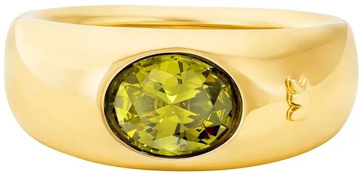 Prsteň Michael Kors MKJ8483710