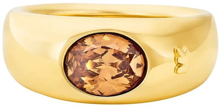 Prsteň Michael Kors MKJ8484710