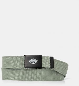 Opasok Dickies pánsky, tyrkysová farba, DK0A4X7EK361