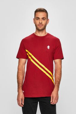 Vans - Pánske tričko x Harry Potter