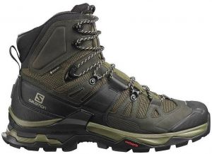 Turistická obuv Salomon  Quest 4D 4 Gtx