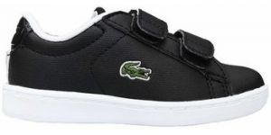 Nízke tenisky Lacoste  Carnaby Evo Strap