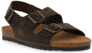 Sandále Bioline  880 INGRASSATO MARRONE