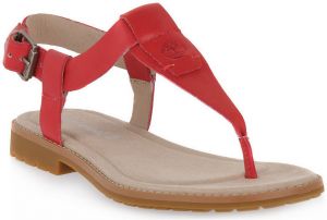 Sandále Timberland  CHICAGO 2 THONG