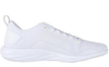 Nízke tenisky Reebok Sport  Astroride WA
