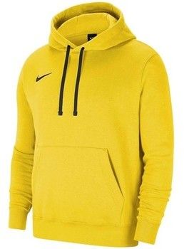 Mikiny Nike  Team Park 20 Hoodie