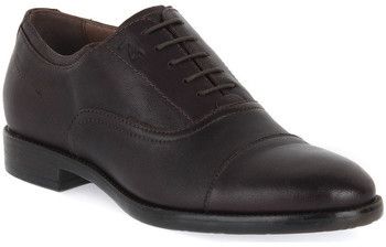 Derbie NeroGiardini  NERO GIARDINI  LEVANTO EBONY