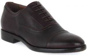 Derbie NeroGiardini  NERO GIARDINI  LEVANTO EBONY