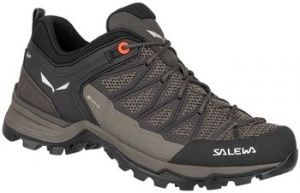 Turistická obuv Salewa  Mtn Trainer Lite Gtx