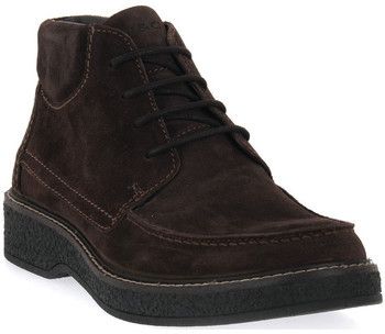 Polokozačky IgI&CO  CLAYTON