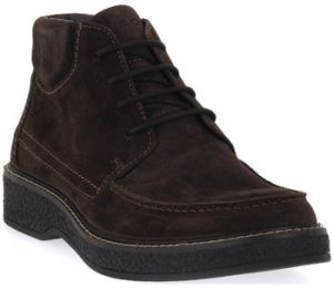 Polokozačky IgI&CO  CLAYTON