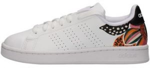 Nízke tenisky adidas  H00714