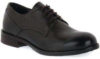 Derbie Exton  SOFT FORESTA