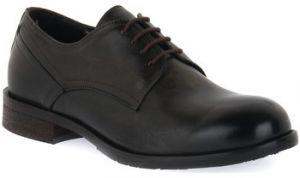 Derbie Exton  SOFT FORESTA