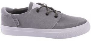 Nízke tenisky Converse  Deck Star