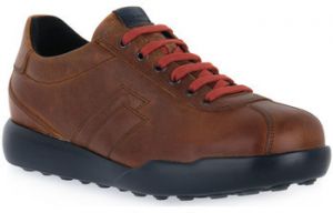 Nízke tenisky Frau  CRAZY WHEAT