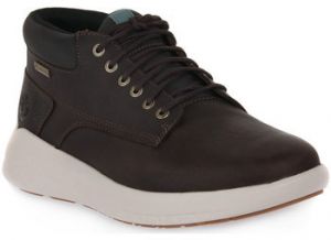 Členkové tenisky Timberland  BRADSTREET ILTRA GTX