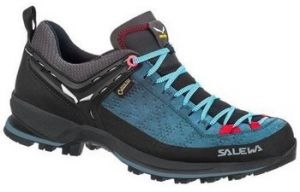 Turistická obuv Salewa  WS Mtn Trainer 2 Gtx