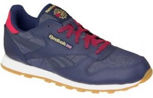 Fitness Reebok Sport  Classic Leather DG