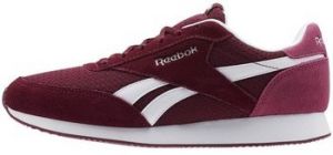 Nízke tenisky Reebok Sport  Royal CL Jog Rustic