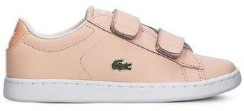 Nízke tenisky Lacoste  Carnaby Evo Strap