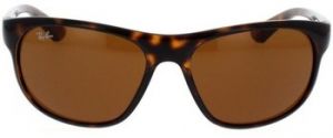 Slnečné okuliare Ray-ban  Occhiali da Sole  RB4351 710/73