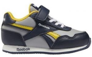 Nízke tenisky Reebok Sport  Royal