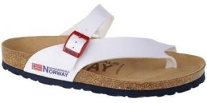 Šľapky Geographical Norway  Sandalias Infradito