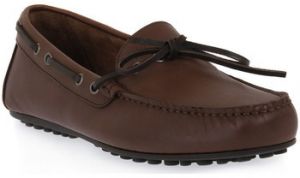 Športové sandále Frau  BROWN SPINNER