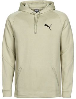 Mikiny Puma  DAY IN MOTION HOODIE DK