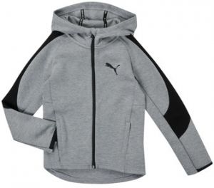 Mikiny Puma  EVOSTRIPE CORE FZ HOODIE