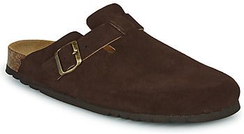 Nazuvky Scholl  OLIVIER