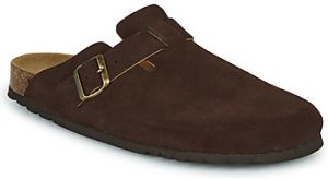 Nazuvky Scholl  OLIVIER