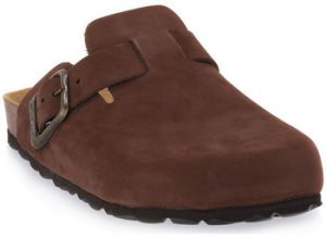 Nazuvky Grunland  MORO 40SARA