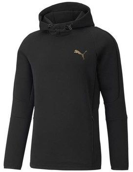 Mikiny Puma  Evostripe Hoodie