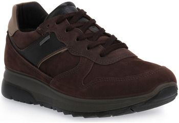 Nízke tenisky IgI&CO  MORO SNOKER