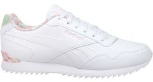 Nízke tenisky Reebok Sport  Royal Glide