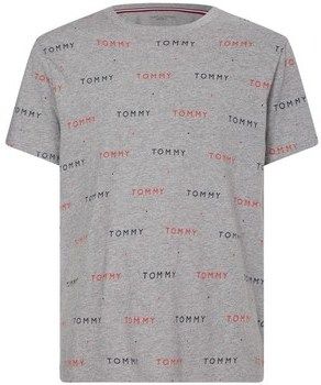 Tričká s krátkym rukávom Tommy Hilfiger  UM0UM021320IM