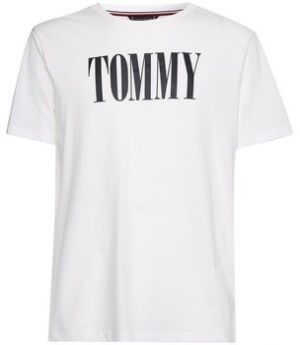 Tričká s krátkym rukávom Tommy Hilfiger  UM0UM02534YBR