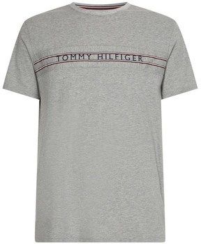 Tričká s krátkym rukávom Tommy Hilfiger  UM0UM02422P61