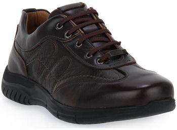 Turistická obuv Zen  BOSTON BROWN