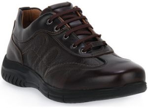Turistická obuv Zen  BOSTON BROWN