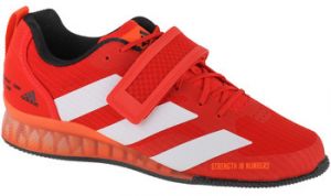 Fitness adidas  adidas Adipower Weightlifting 3