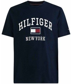 Tričká s krátkym rukávom Tommy Hilfiger  MW0MW28218DW5