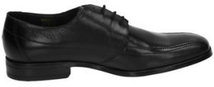 Richelieu Baerchi  -
