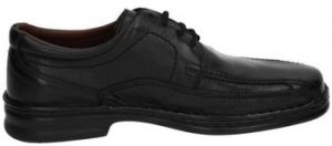 Richelieu Nuper  -