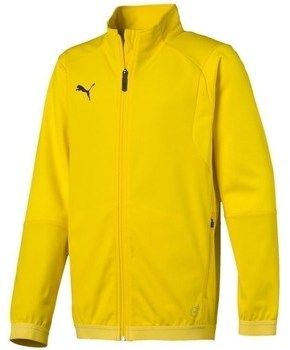 Mikiny Puma  Liga Training Jacket