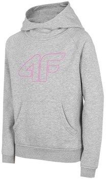 Mikiny 4F  JBLD002